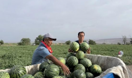 林州吃瓜大爆料是谁,幕后推手是谁？